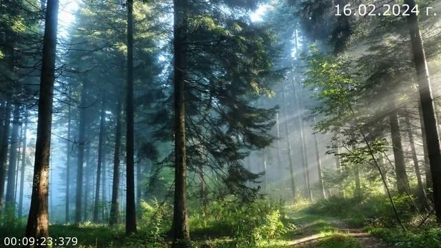 884 На полянке 16.02.2024 г смотреть онлайн