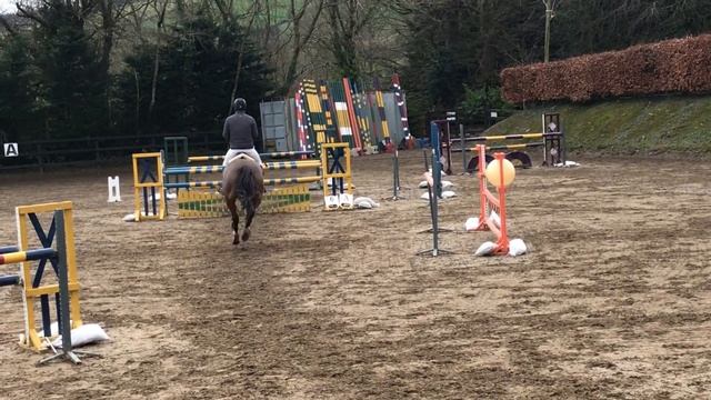 Camaro TS - 1.20 Butterfly Farm 23/02/2020 смотреть онлайн