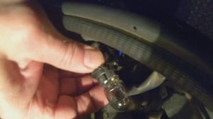 Замена лампы дневного ходового огня (ДХО). Рено Сандеро Степвей 2     29.12.2024 г.