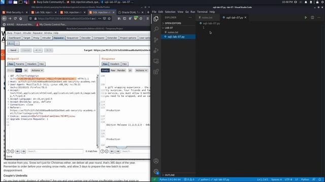 08. Lab 7 - SQL injection attack, querying the database type and version on Oracle смотреть онлайн