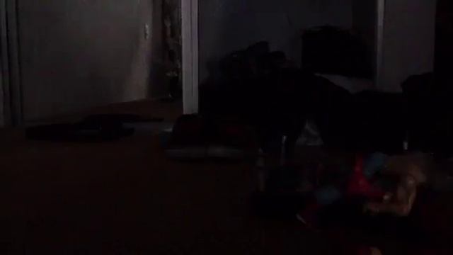 Mega jaguar animation смотреть онлайн