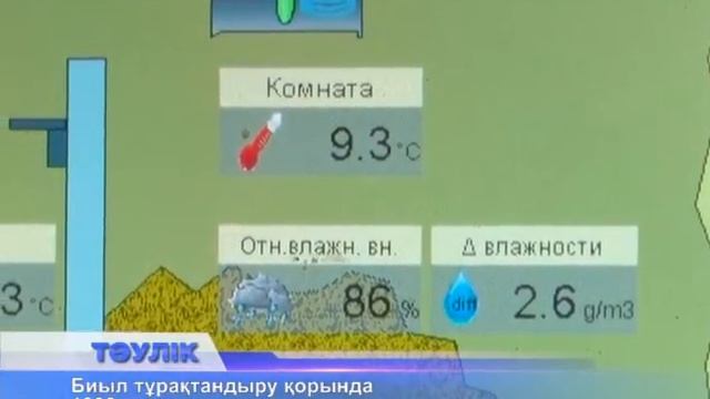 Қоймалар көкөніске толтырылады смотреть онлайн