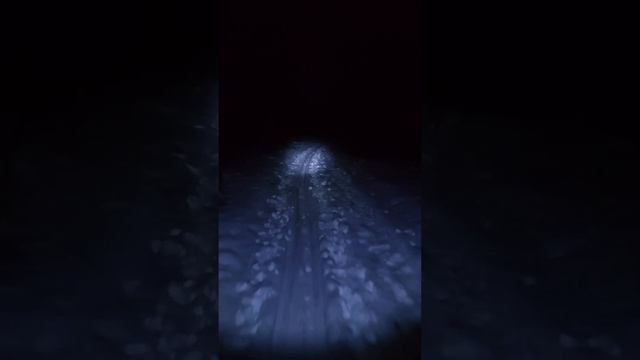 Ночная лыжная прогулка!