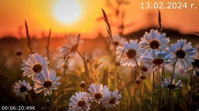 882 Телепортация 13.02.2024 г смотреть онлайн