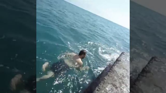 #ВТРЕНДЕ#СОЧИ#мидии# Собираем мидии на море, На чёрное море смотреть онлайн
