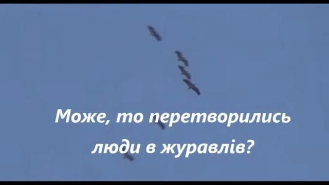 Журавлина ніч (+) з текстом, муз Анни Олєйнікової, сл Світлани Іщенко смотреть онлайн