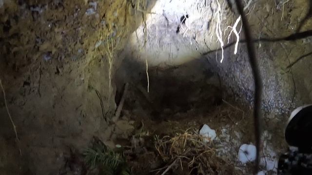 Медвежья берлога! Тайга и болото! смотреть онлайн