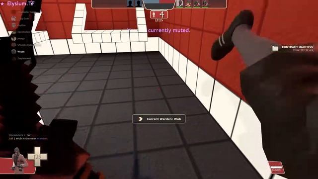 Team Fortress 2 Funny Moments | Retarded Mentally We Are. смотреть онлайн