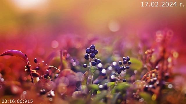 885 17.05.2024 г смотреть онлайн