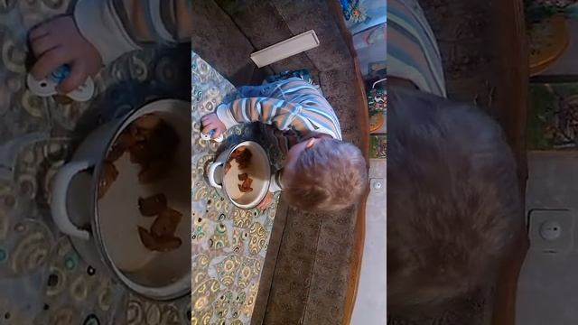 Андрюша пьёт компот смотреть онлайн