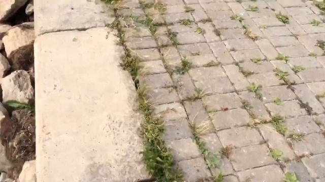 Vlog: Отдых в Боровом тииип смотреть онлайн