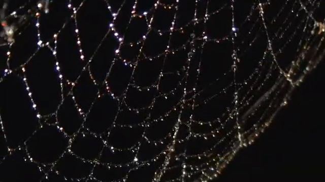 ПАУК и ПАУТИНА Ночь подсветка смотреть онлайн