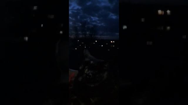 Весенний тёплыйвечер кошкаВеста#кошкаВеста #кошки#весна#небо#relax#музыкадлядуши#испанскаягитара смотреть онлайн