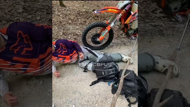 ПРОКАТИЛСЯ ПО ЛЕСУ смотреть онлайн