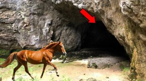 БЕСПОКОЙНАЯ ЛОШАДЬ ПО НОЧАМ ПЕРЕД ПЕЩЕРОЙ: ТО, ЧТО ОБНАРУЖИЛ ФЕРМЕР, ИЗМЕНИЛО ВСЕ...