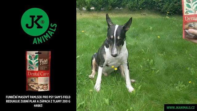 Sam's Field Natural Snack Dental Care, funkční masový pamlsek pro psy 200g (44663) смотреть онлайн