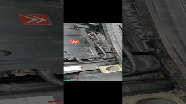 29-12-2024 смотреть онлайн