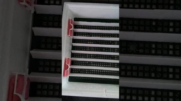 Подготовка яиц к закладке в инкубатор