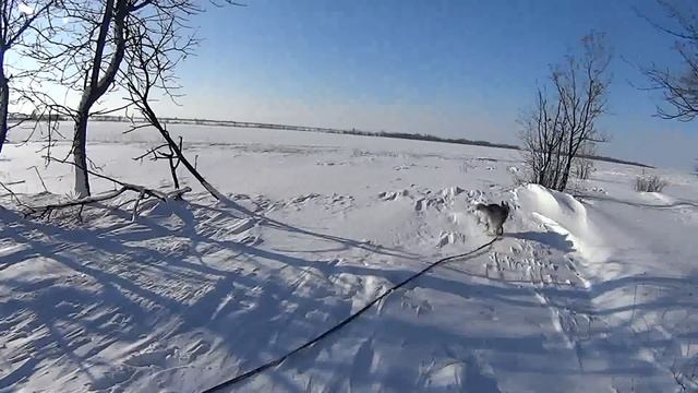 Гуляем с Хаски. Снежный краш-тест ActionCam смотреть онлайн