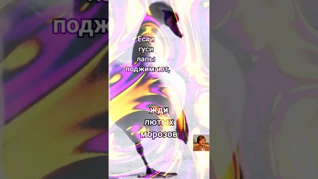 Приметы и традиции смотреть онлайн