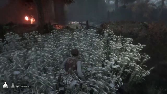 A Plague Tale Innocence /Часть 2.Наследие де Рунов. смотреть онлайн