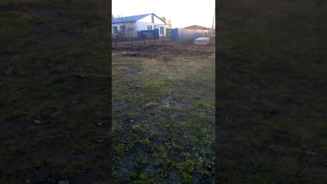 Омская обл. п.Новгородцево продолжение 1 части смотреть онлайн