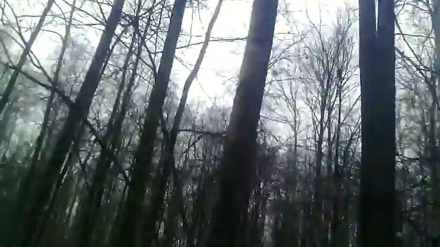 нистал брать очень высоко