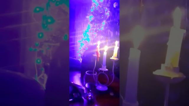 Немного сказки в ленту.. (архив2022)#жизнькота#коттот#чёрныйкот#мойкот#музыкатоп#сказка#аспушкин смотреть онлайн