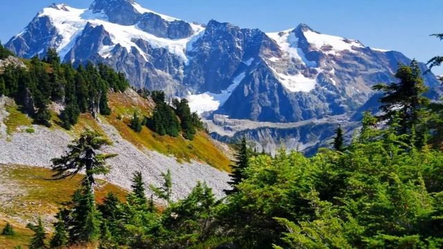 Цитаты Достоевского смотреть онлайн