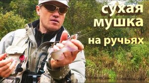 Сухая мушку на ручьях. Техника ловли нахлыстом и основные забросы. / dry fly fishing