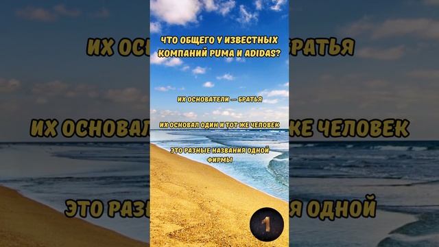 Викторина "Тест на эрудицию: Разнообразные вопросы" №18 #викторина #эрудиция #квиз #тест смотреть онлайн