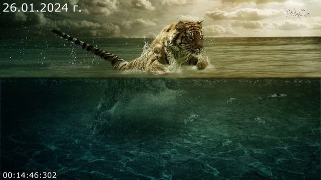 873 Обвинителям 26.01.2024 г смотреть онлайн