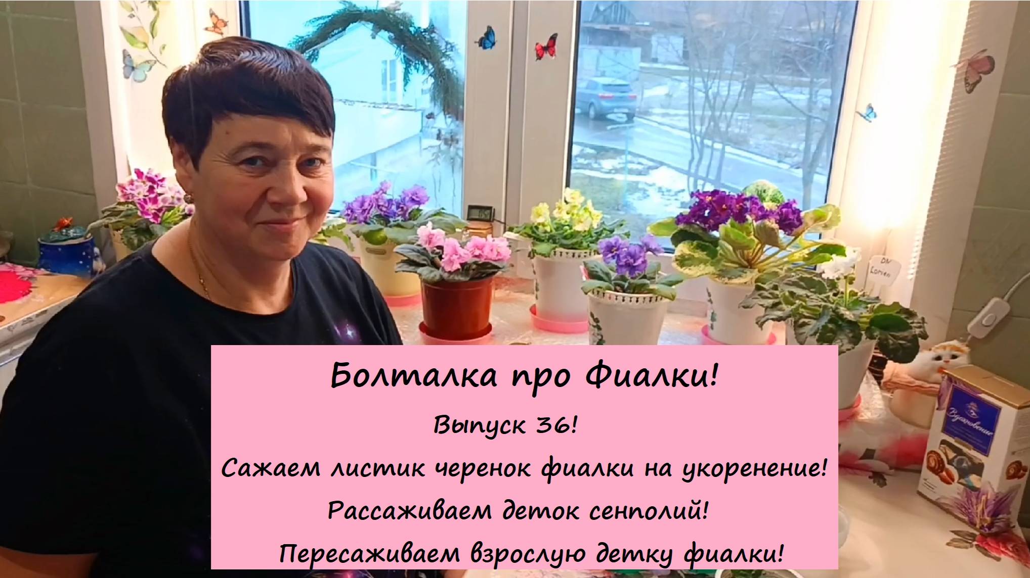 Болталка про Фиалки! Выпуск 36: Сажаем листики, рассаживаем деток фиалок, пересаживаем детку фиалки! смотреть онлайн