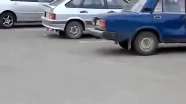 Только позитивное видео!!!! Кошки против собак,наши любимые любимцы)))))))) смотреть онлайн