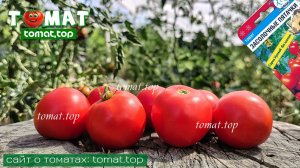 Низкорослый, для открытого грунта, не требует формировки. Томат Засолочные пяточки