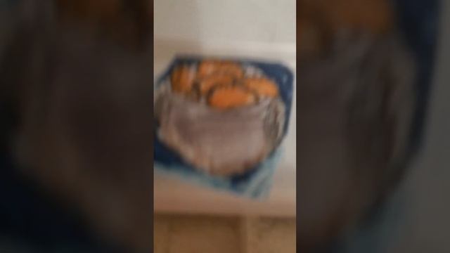 хорошийи пельмени смотреть онлайн