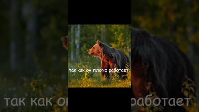 да да да... #крд