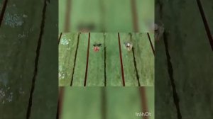 представь ты всего добилась