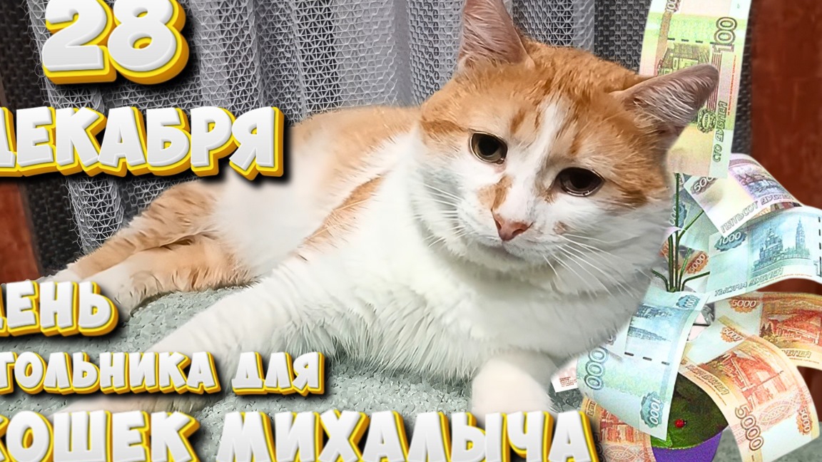 28 декабря День стольника для КОШЕК МИХАЛЫЧА. смотреть онлайн