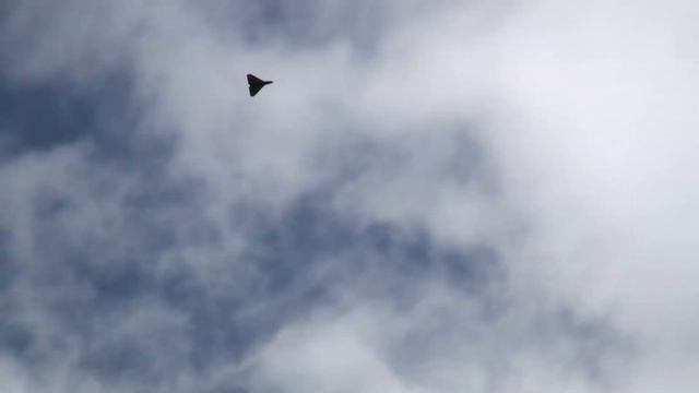 2010 Asessippi RC Air Show - Delta Wing Jet Turbine Part 1 смотреть онлайн