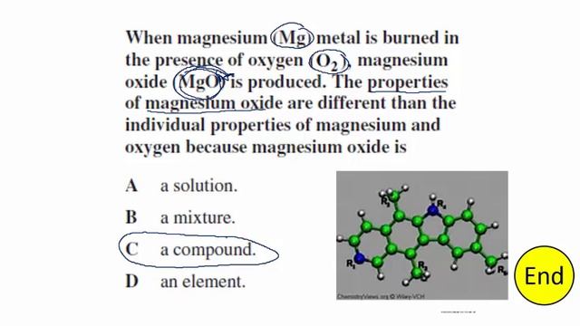 8th Grade Science Test Prep Day 2