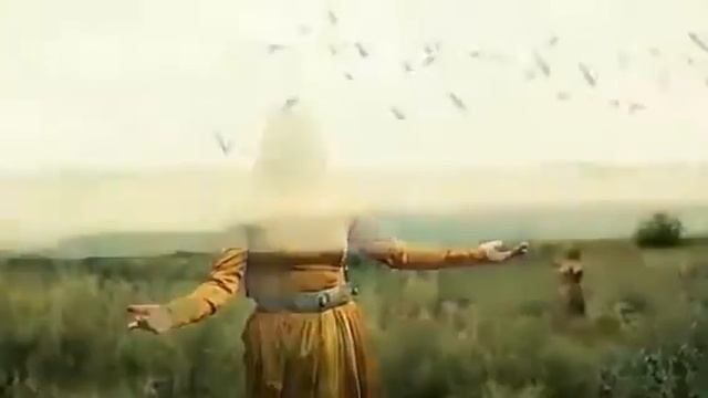 Къункъраби Зайнаб Махаева