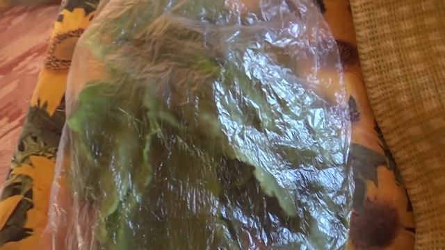 Свидание на кухне.Заготовим щавель на зиму. смотреть онлайн