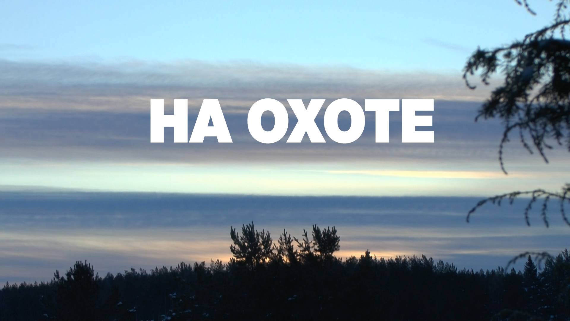 На охоте