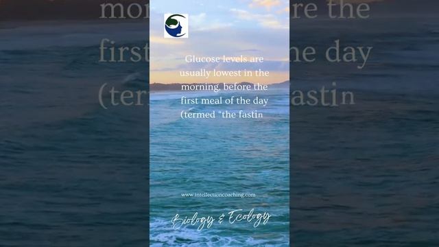 Blood Sugar Levels In Fasting: Understanding Normal Ranges For A Healthy Individual