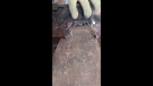 Не работает первый цилиндр двигателя. Причина не работы первого цилиндра двигателя.