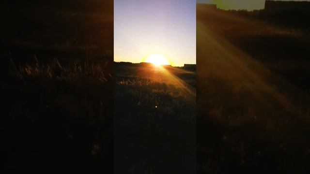 Август,с медовым спасомЗдоровья благополучия достатка любви!#август #медовыйспас#песни#еленаваенга смотреть онлайн