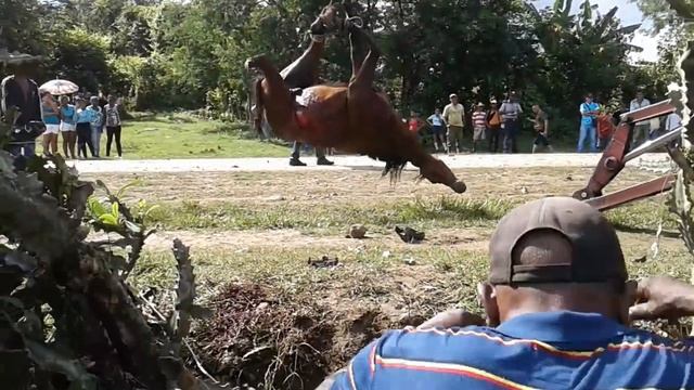 Accidente en Santiago de Cuba смотреть онлайн