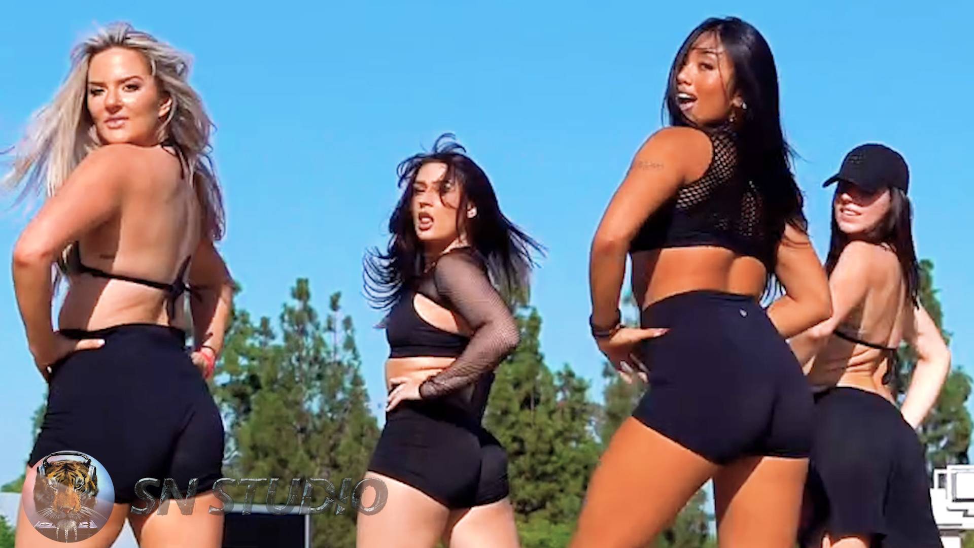 Shuffle Dance  ♫Real McCoy - It S On You (Velchev Dmitriy Rs Igor Frank Remix) SN Studio Edit♫