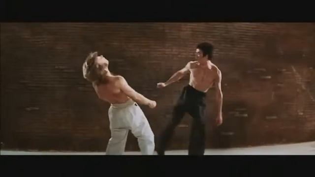 Bruce Lee Vs Chuck Norris
